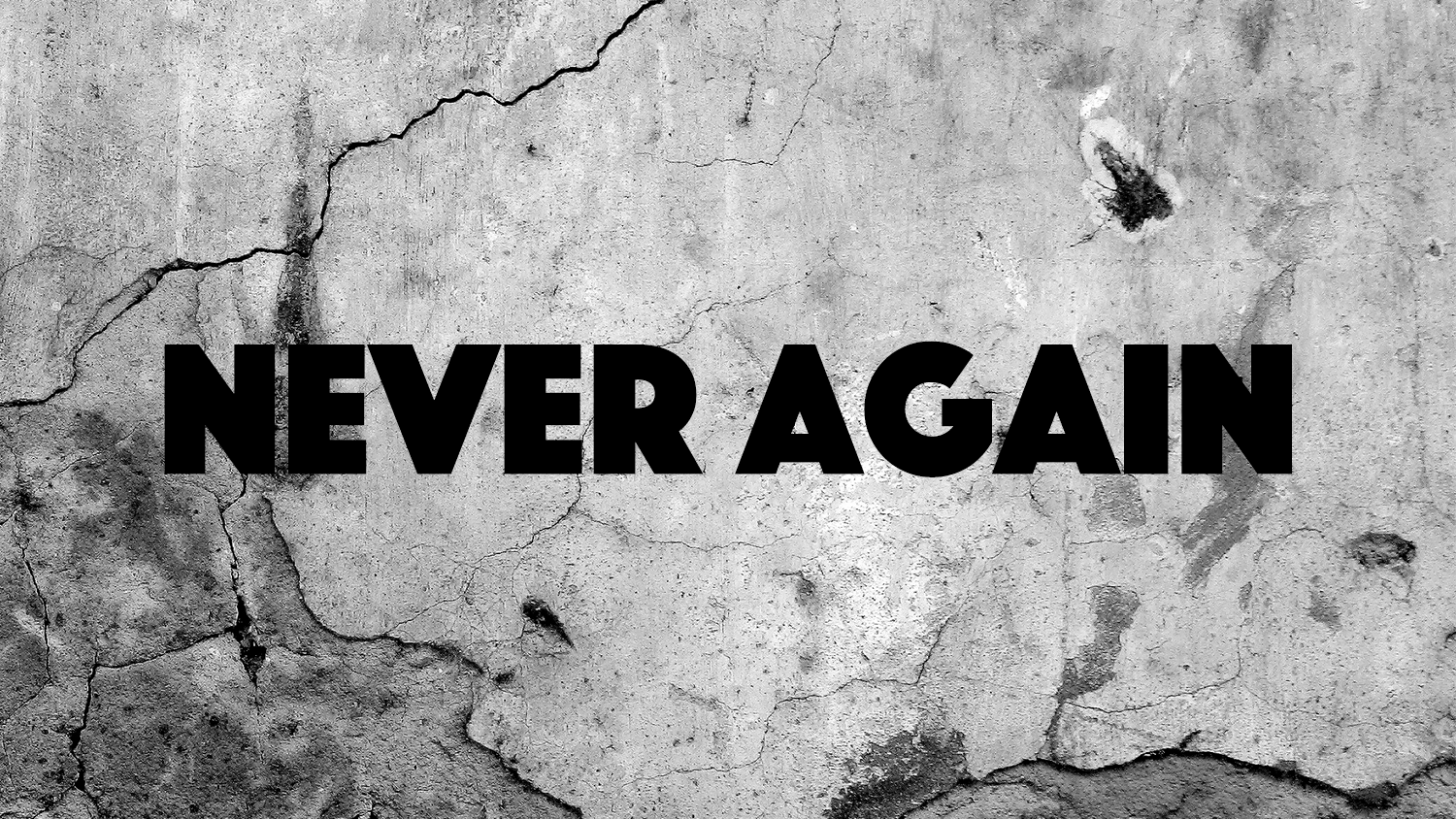 Never again. Never again Холокост. Never again игра. Обои never again.